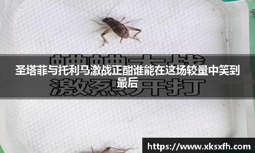 BB贝博艾弗森