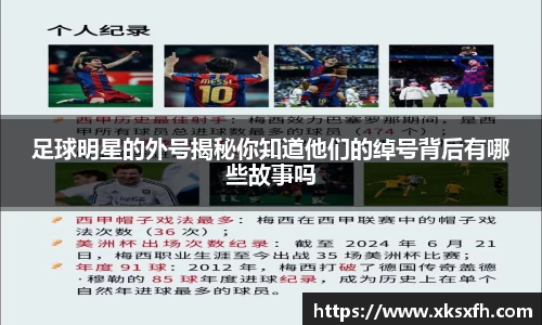 BB贝博艾弗森体育